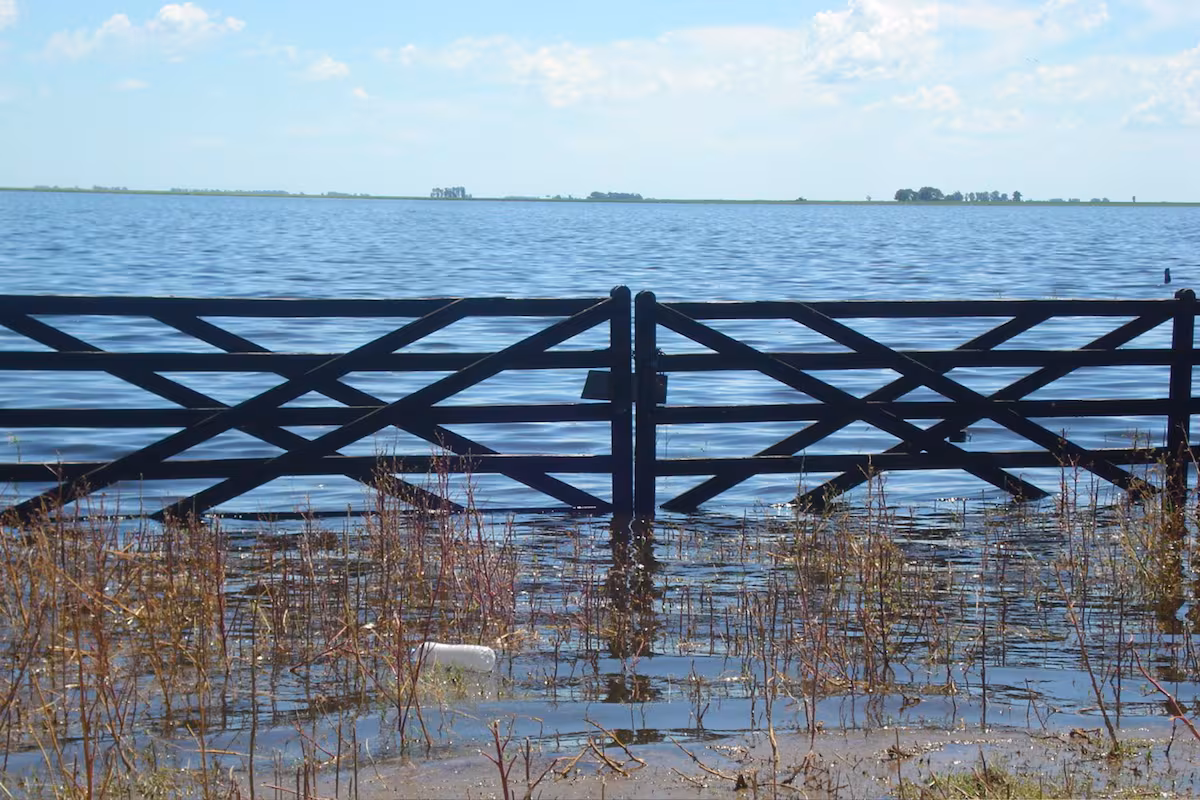 Controversia por obra hidráulica que habría sido mal ejecutada y provoca inundaciones en el noroeste bonaerense