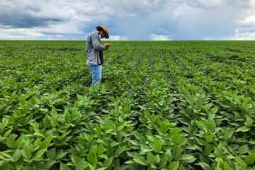 Presidentes de CREA y Aapresid expresan fuertes reparos a anteproyecto que plantea injerencia estatal en suelos