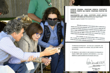 Avance judicial: Etchevehere pide pericia para revertir procesamiento