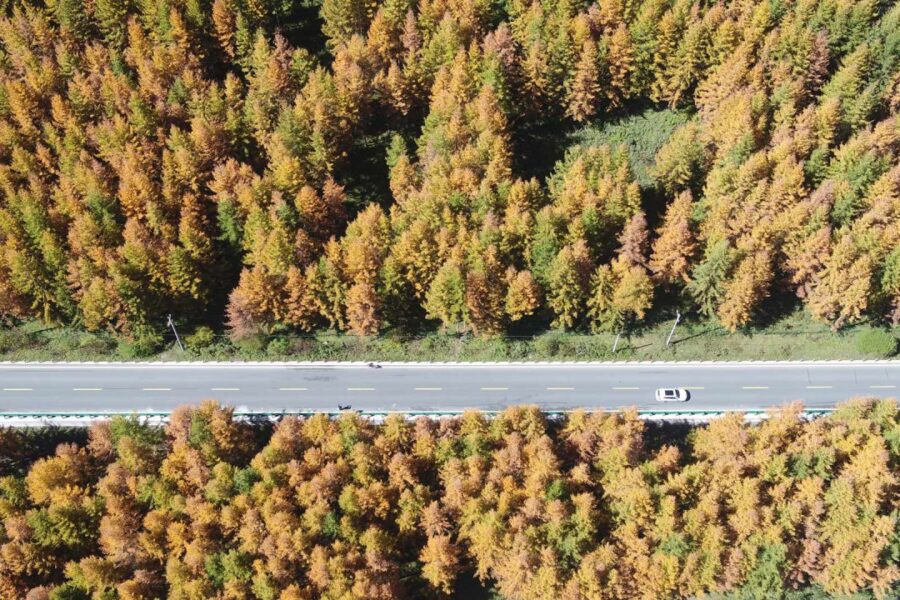 El Virrey Bennett, EE.UU. y la presunta injerencia en Argentina: anticipo de la tapa de NOTICIAS