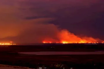 Anulan los sobreseimientos a 43 imputados por incendios en el Delta del Paraná en 2020
