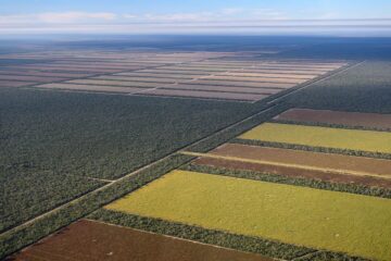 La Unión Europea propone relajar su ley antideforestación por problemas en su sistema informático