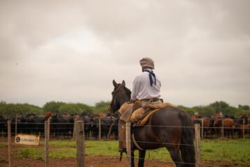 La familia Brito obtuvo financiamiento para su empresa agropecuaria insignia