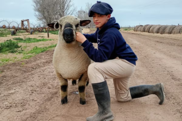 El joven que, a su corta edad, cría campeones y supera a cabañas históricas