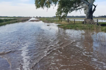 Productores se movilizarán contra un intendente por el mal estado de los caminos y la inundación
