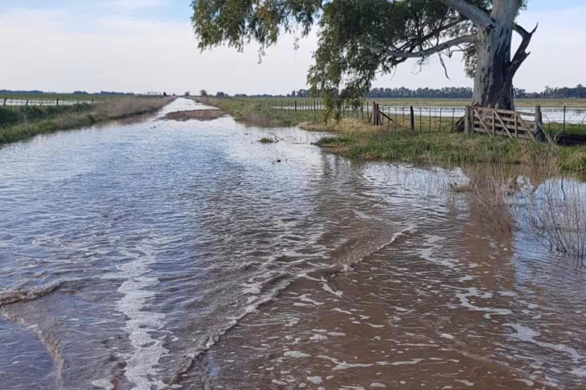 Productores se movilizarán contra un intendente por el mal estado de los caminos y la inundación