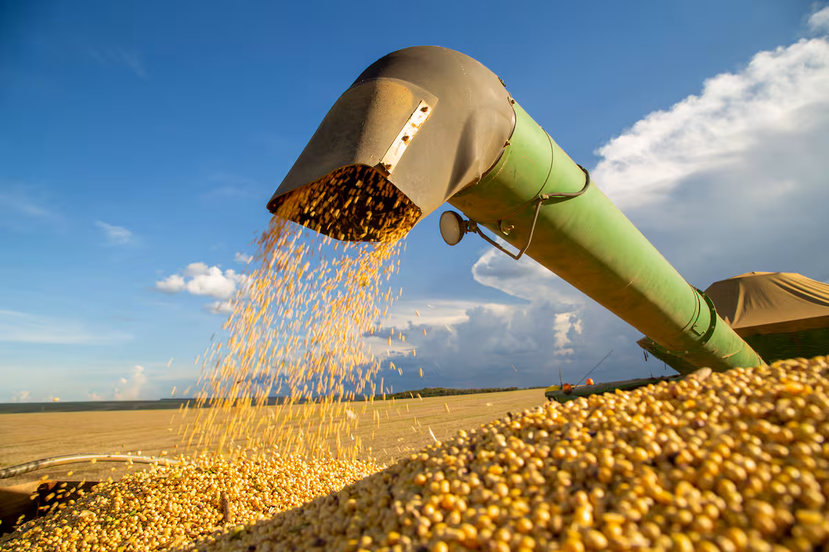 La soja se mantiene por encima de un indicador; otra variable muy importante mejoró