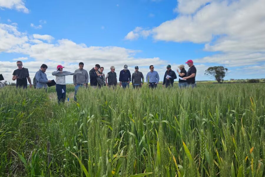 Aprendizajes en la tierra del raigrás: desafíos que vienen para la agricultura argentina