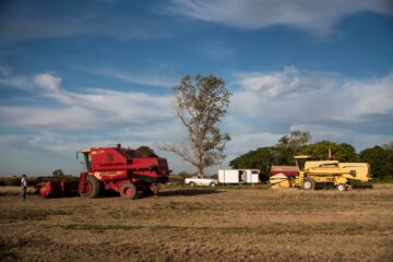 Analizaron 13 insumos imprescindibles para el agro en cinco países: el resultado fue categórico
