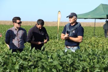 Lote a lote: las claves que le permiten a la soja ganar su partido más importante