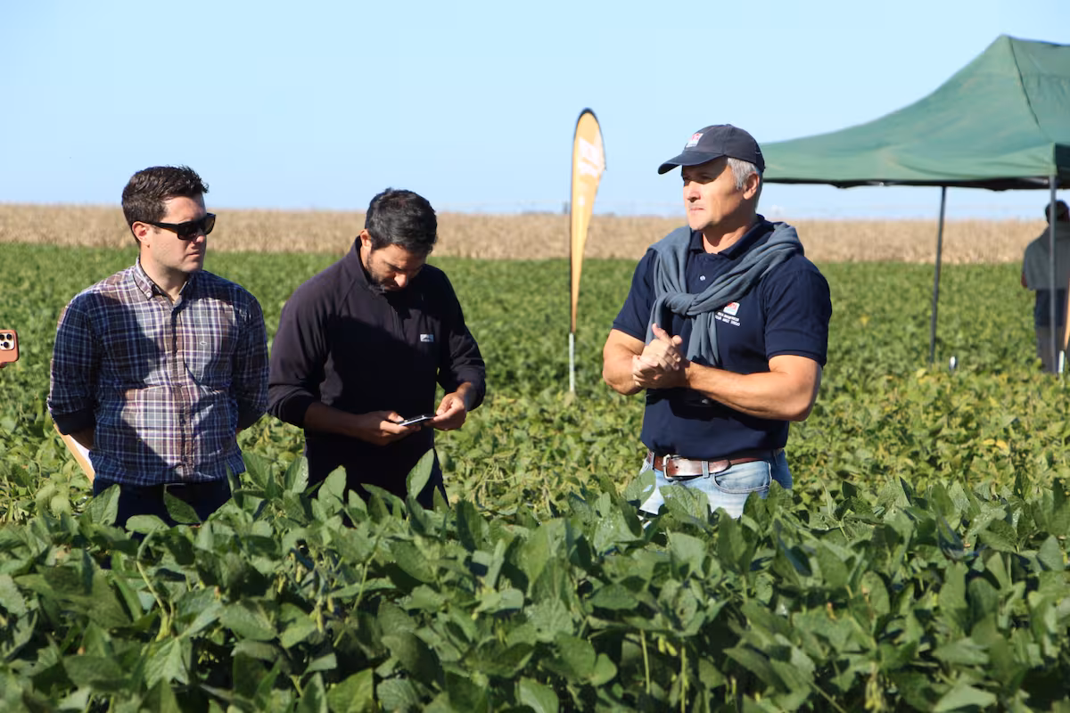 Lote a lote: las claves que le permiten a la soja ganar su partido más importante