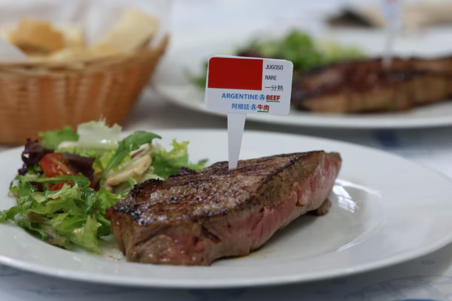 La Argentina pidió a la Unión Europea ser considerada de bajo riesgo de deforestación