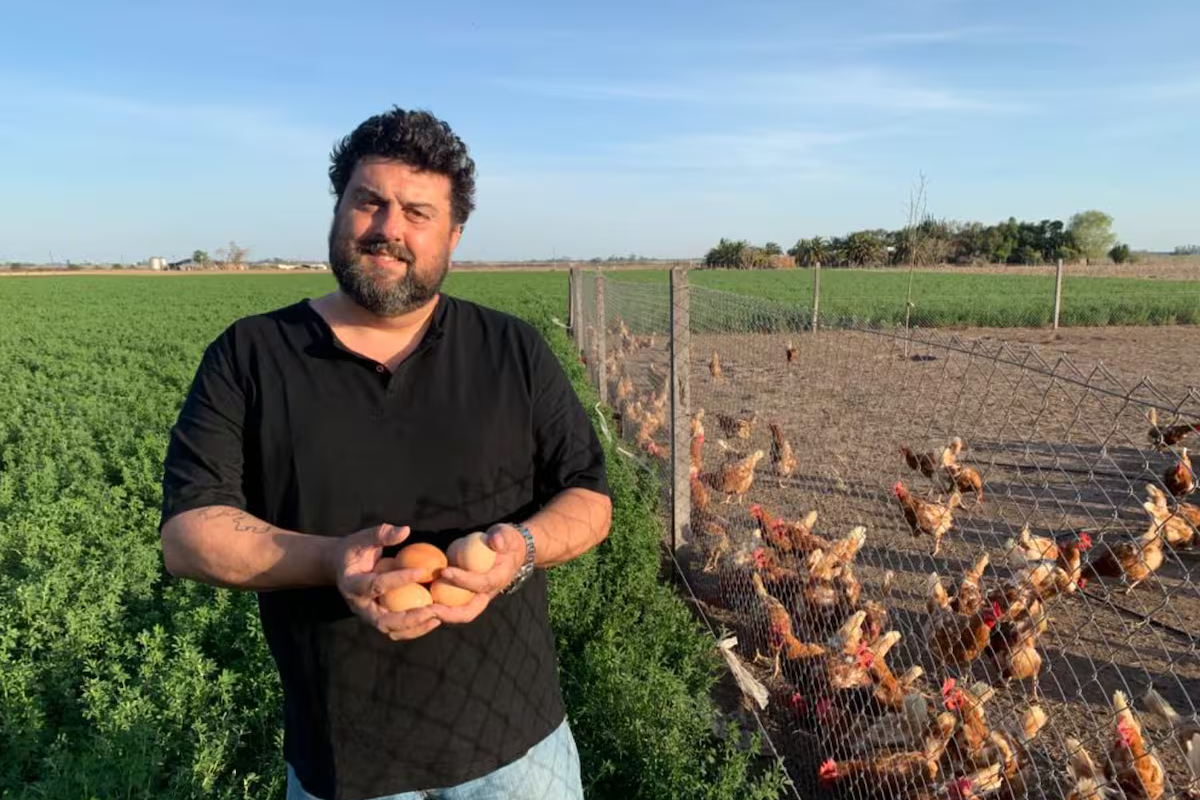 Fue pionero con las gallinas libres de jaula; produce 14.000 huevos por día y le vende a un supermercado