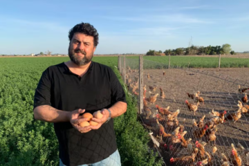 Fue pionero con las gallinas libres de jaula; produce 14.000 huevos por día y le vende a un supermercado