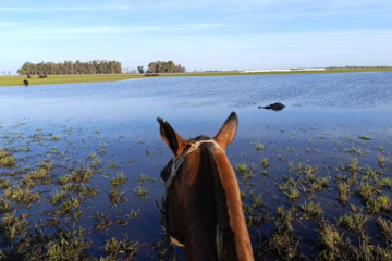 La odisea de una productora que va en lancha hasta su campo