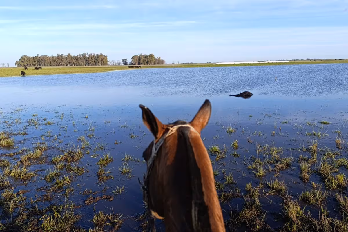 La odisea de una productora que va en lancha hasta su campo