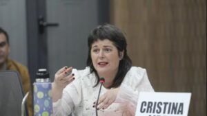 Entre Ríos: un exfuncionario del PRO, detrás de la campaña digital de Carolina Gaillard