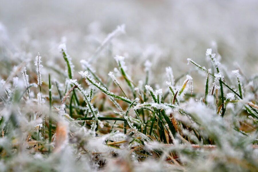 El Gobierno declaró la emergencia por heladas y granizo en producciones de Entre Ríos