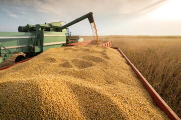 Hasta marzo, el agro aportaría entre US$4.500 millones y US$7.500 millones