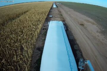 Kahneman se sube al tractor: cómo las retenciones y los sesgos cognitivos alimentan el desencanto en el campo