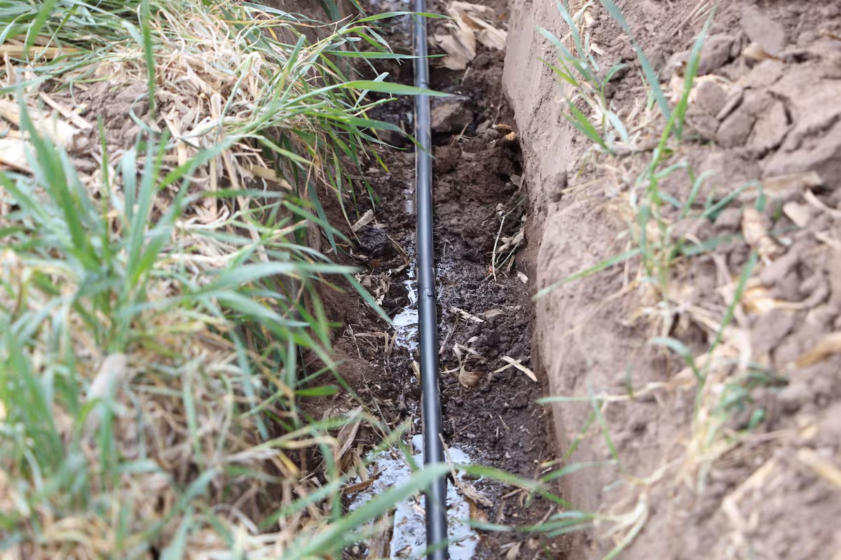 Evaluación del riego por goteo enterrado con energía solar revela resultados sorprendentes