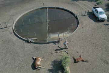 Presentaron un relevamiento sobre un fenómeno climático demoledor en una provincia