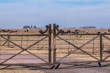 Revuelo en Buenos Aires por anteproyecto de ley que busca cuidar los suelos