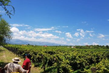 Este jueves y viernes se llevarán a cabo las V Jornadas Nacionales de Turismo del Vino en el Complejo Ferial Córdoba