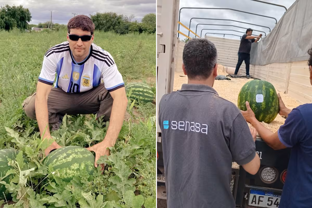 Salió el primer camión con la fruta a granel tras 42 años de una traba eliminada por Milei