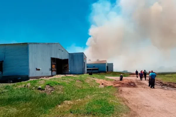 Incendio destruye galpón avícola con 38.000 pollos en el ingreso a Federal y pone en foco la seguridad rural