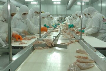 Se agrava la crisis de Granja Tres Arroyos y tambalean las plantas de la principal productora de pollos de la Argentina