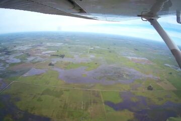 Banco Nación amplió apoyo a más municipios bonaerenses por emergencia agropecuaria