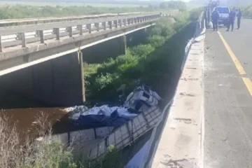 Camión cae desde un puente en autovía 14: conductor hospitalizado a 45 km de Concordia