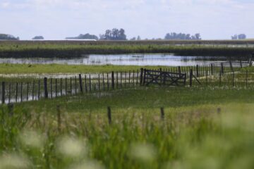 Carbap y el gobierno bonaerense protagonizan un fuerte cruce por una cuota extra del Inmobiliario Rural