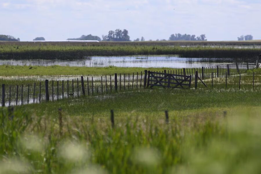 Carbap y el gobierno bonaerense protagonizan un fuerte cruce por una cuota extra del Inmobiliario Rural