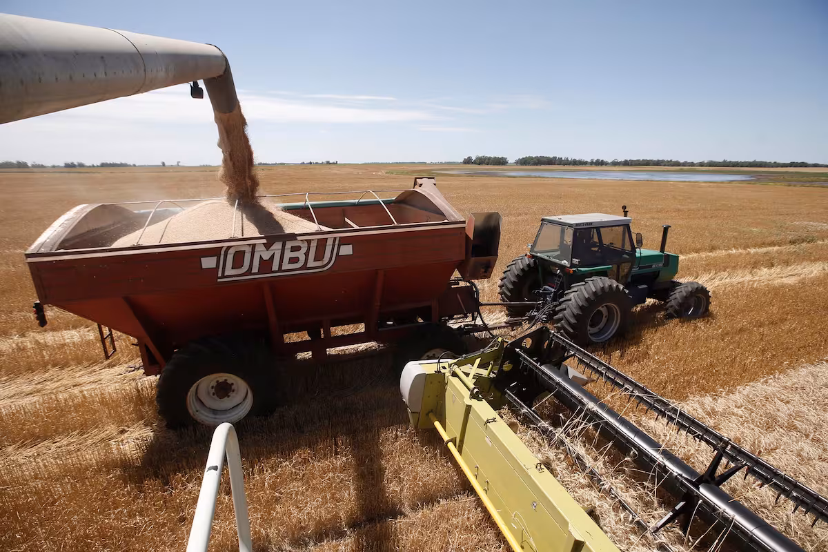 Por primera vez, dos barcos exportarán trigo argentino a China