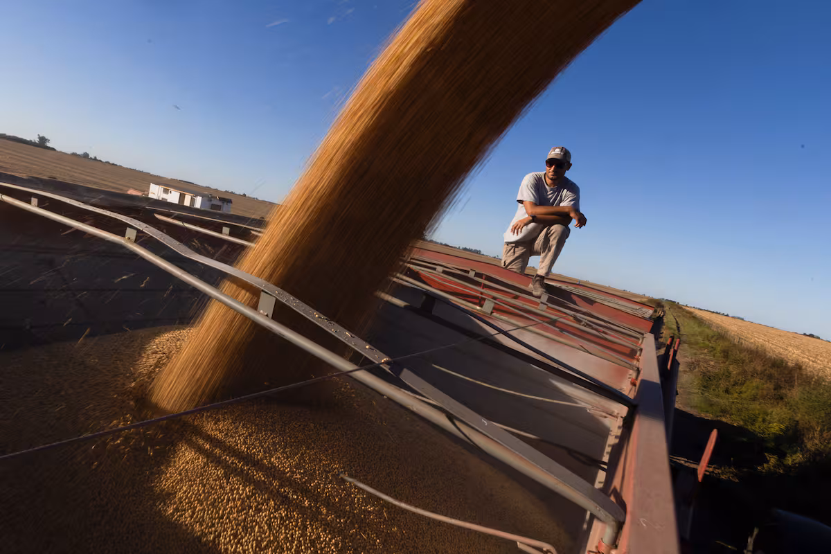 La política cambiaria y la carga impositiva impiden mejorar la competitividad del sector