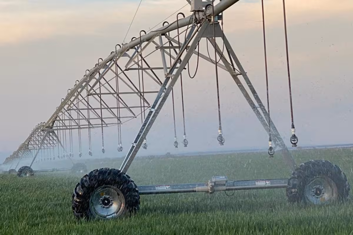 En los últimos dos años se incorporaron 63.400 hectáreas al riego agrícola