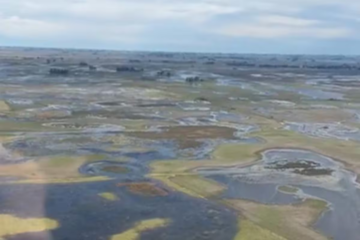 La crisis hídrica alteró el ritmo nacional de siembra de soja y apareció una sorprendente comparación