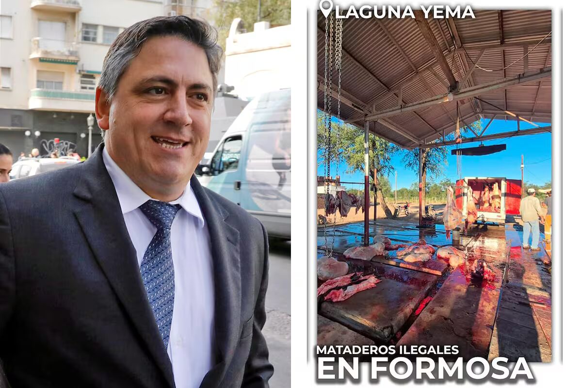 El senador Paoltroni denunció funcionamiento de mataderos ilegales en Formosa
