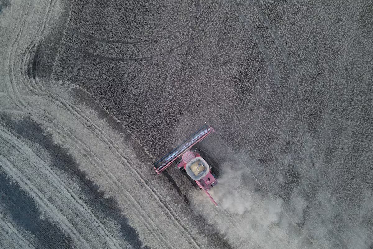 La soja retomó la senda alcista en Chicago ante expectativas sobre China