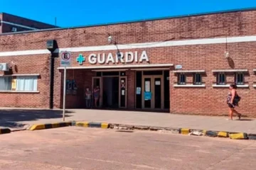 Fallece un hombre alérgico tras picadura de avispa: reclamo por la respuesta sanitaria entre Hospital Carrillo y Masvernat