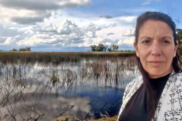 Calculan 5 millones de hectáreas comprometidas por el agua en Buenos Aires y hay desesperación en el campo