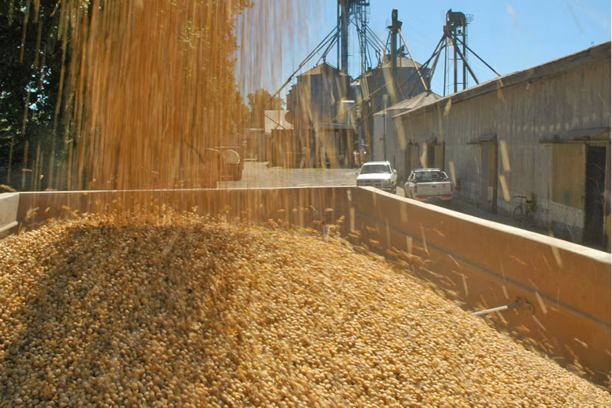 Herramienta de financiamiento para el agro superó los US$1900 millones