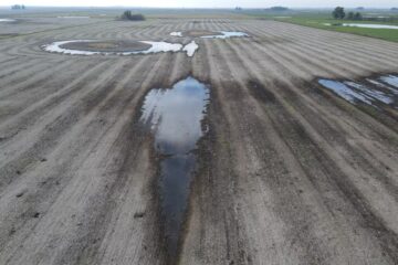 Cómo sembrar en un año con excesos hídricos: consejos clave