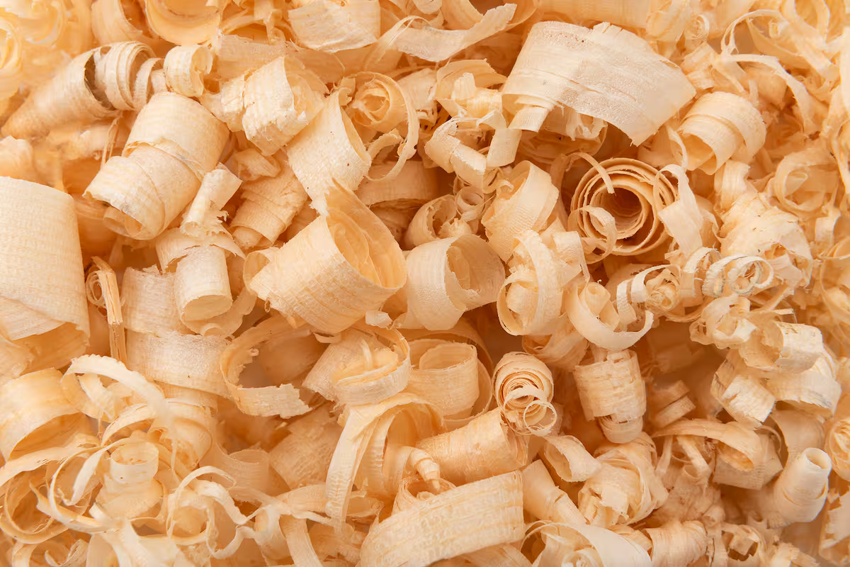 El inesperado impacto del aserrín en la alimentación de las vacas