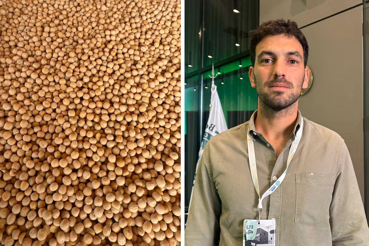 Se conocieron en una multinacional, crearon una empresa y buscan dar un batacazo en China con la arveja