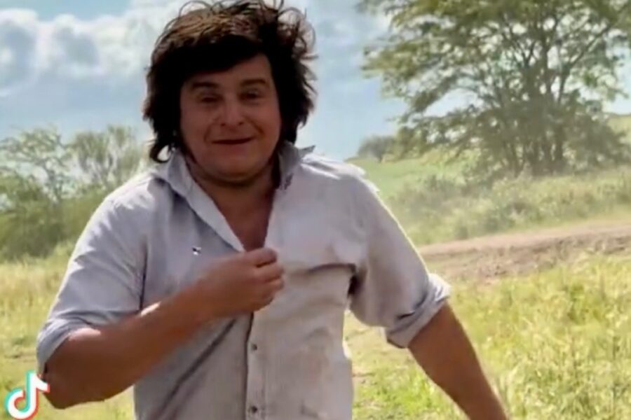 El Milei campesino: apareció un doble del Presidente en el campo entrerriano