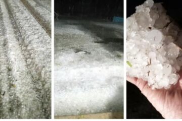 Declararon la emergencia agropecuaria para las zonas más afectadas por el fuerte granizo de mayo en Entre Ríos