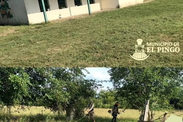 Desmalezado en la Escuela Nº 85
